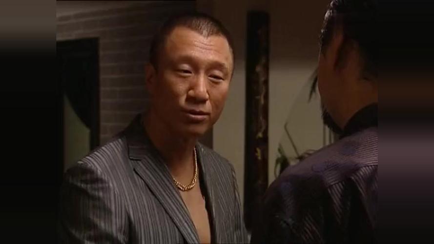 孙红雷演的征服一共有几部啊?