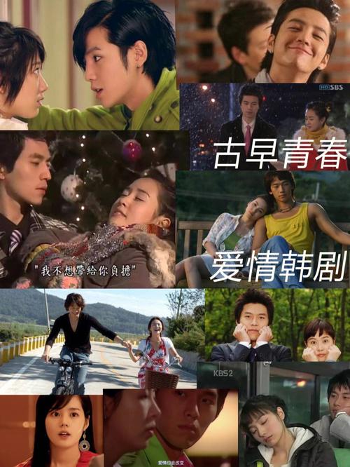 给我介绍几部电视剧吧!