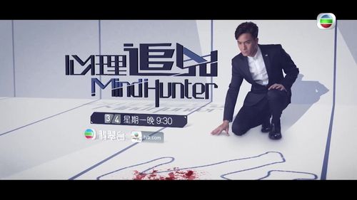 心理追凶的剧情简介