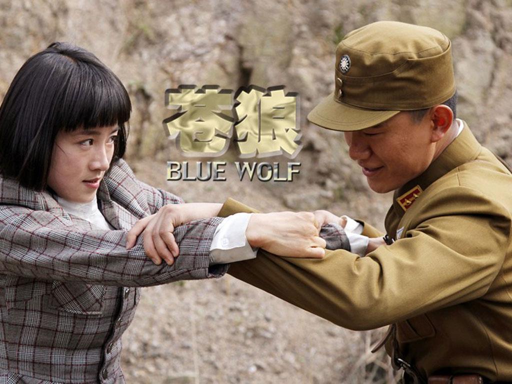 电视剧苍狼剧情分集介绍(苍狼剧情介绍)