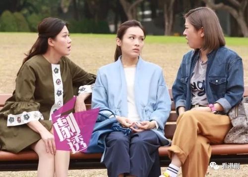 电视《BB来了》主要讲了什么?
