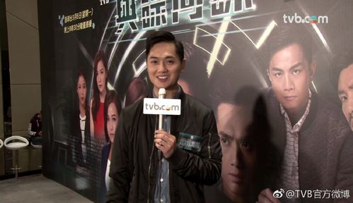 tvb与谍同谋一共多少集