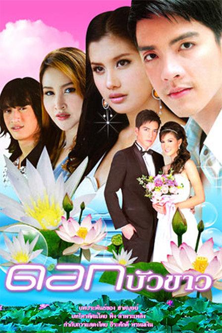 《白莲花》剧情介绍(豫剧巜白莲花》什么意思)