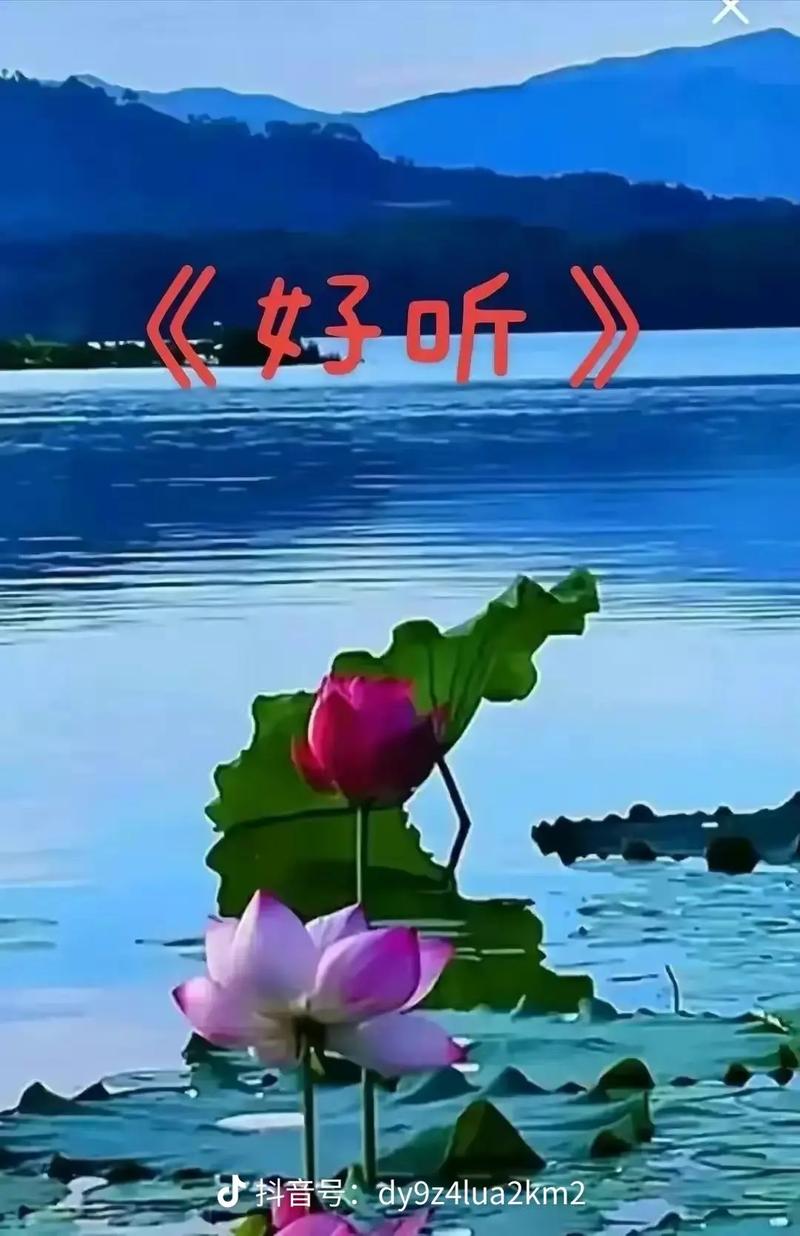 豫剧巜白莲花》什么意思