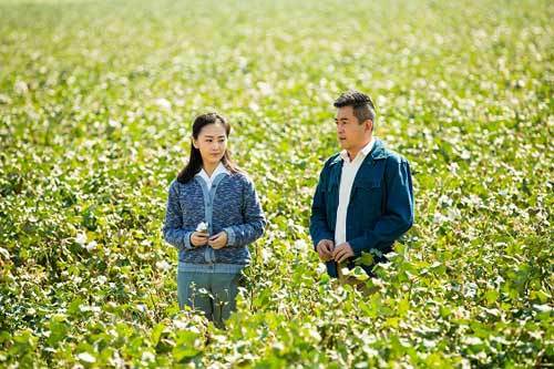 花儿与远方的16-20分集剧情讲的是什么?