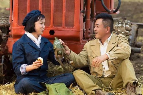 花儿与远方剧情分集介绍大结局