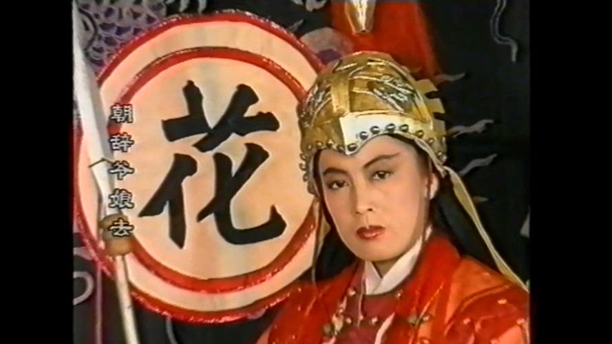 道光秘史分集剧情介绍(电视剧花木兰是什么时候拍的戏)