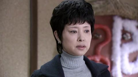 电视剧《经营婚姻》分集剧情介绍,要全的