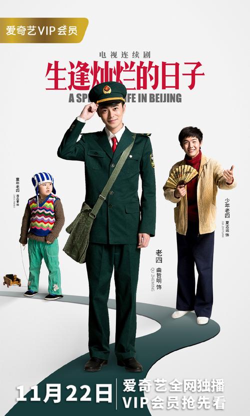 灿烂的日子电视剧剧情介绍