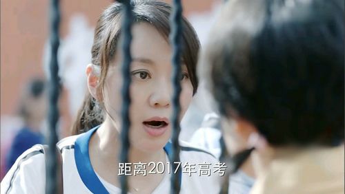 少年派电视剧剧情介绍