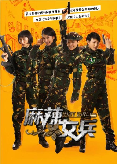 哪里能买到小说版女子特警队?故事情节要和电视剧一样。谢谢您