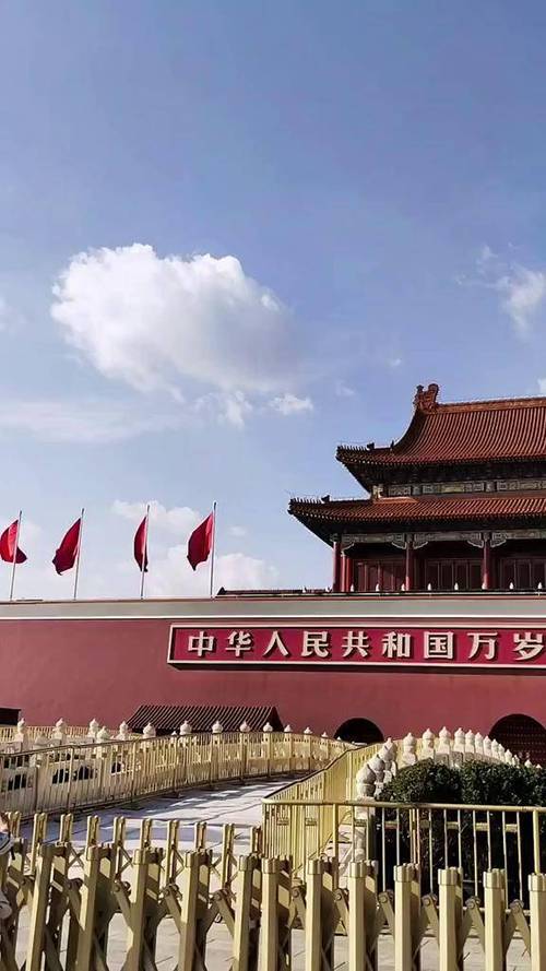 五星红旗迎风飘扬的剧情简介