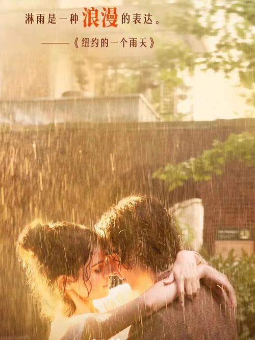 马女犬剧情介绍(纽约的一个雨天剧情介绍)