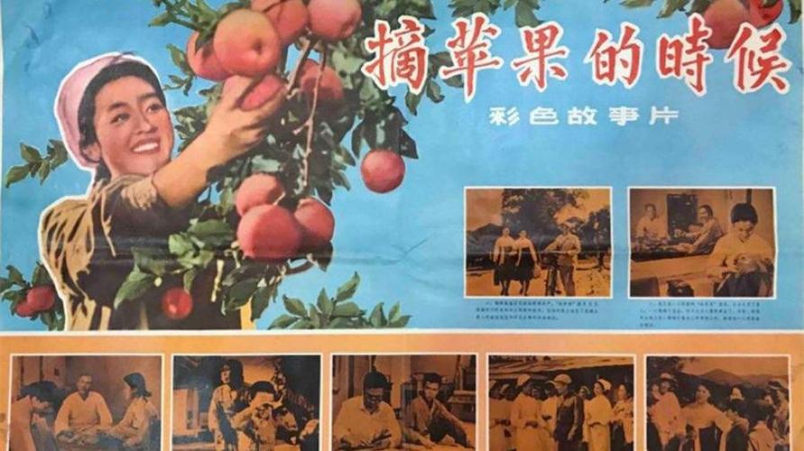 《苹果》剧情介绍(苹果的剧情介绍，及人物心理的变化)