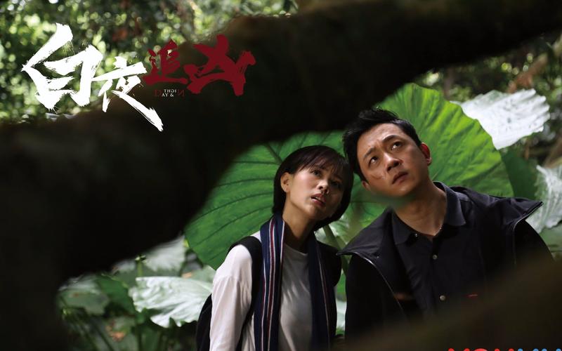 白夜追凶讲的什么故事
