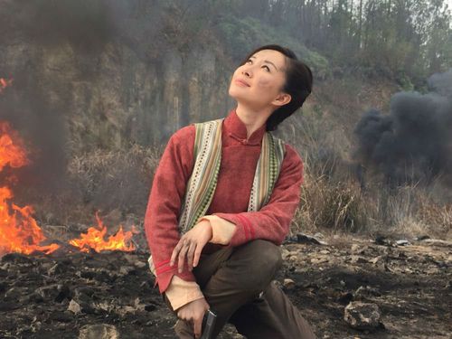 心如铁电视剧剧情介绍一共有几集