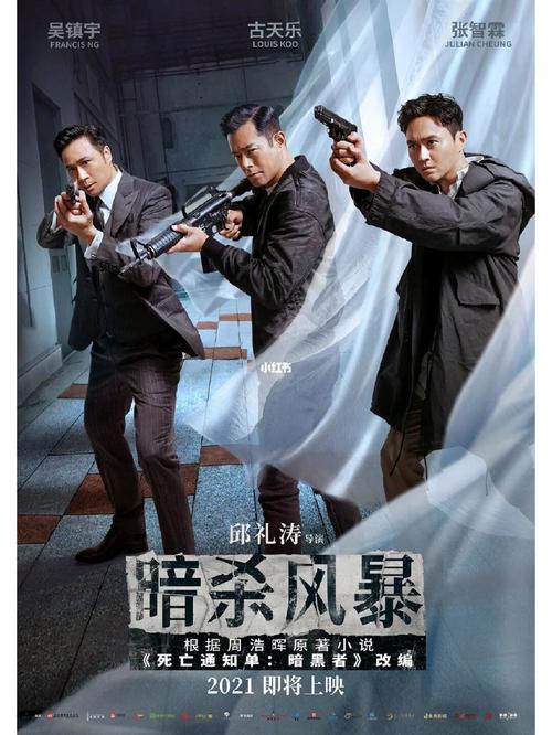 暗杀风暴剧情解析?