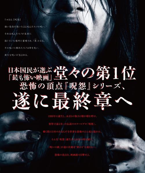 咒怨① ② ③ 部的剧情介绍