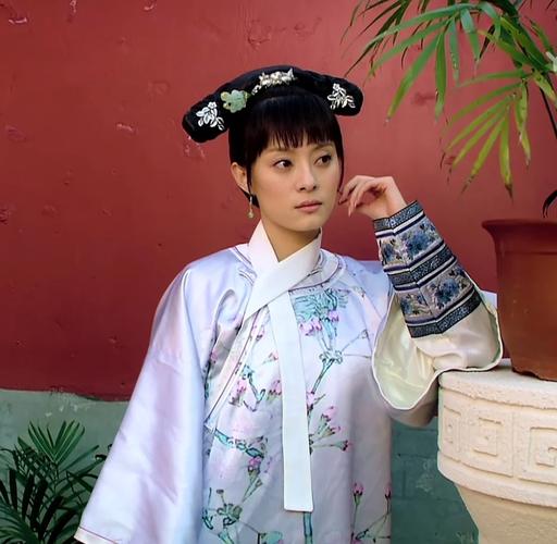甄嬛传分集介绍剧情简介