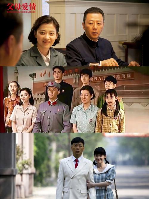父母爱情剧情分集介绍40集