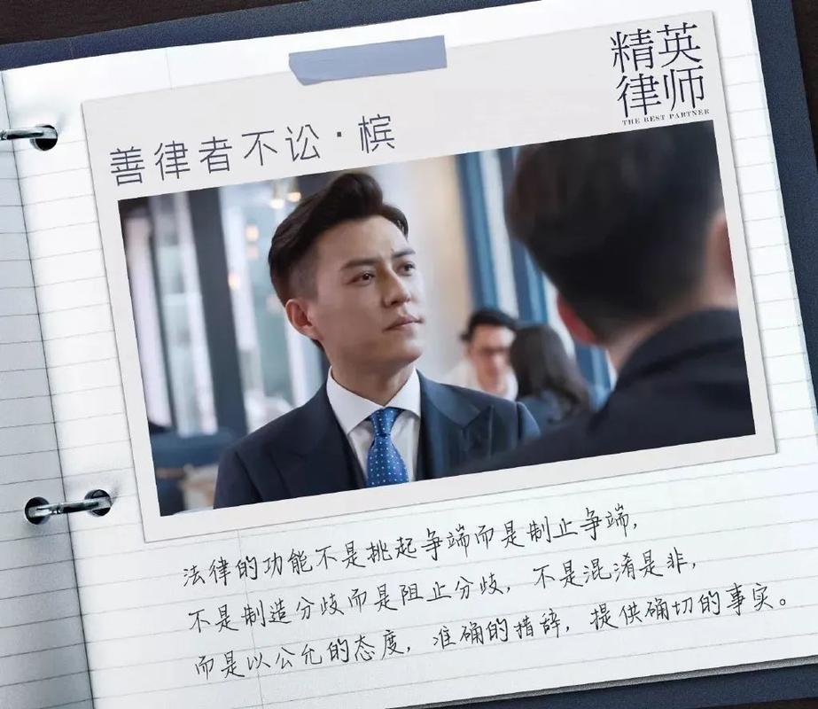 精英律师剧情分集介绍(跨越法律与人情的故事)