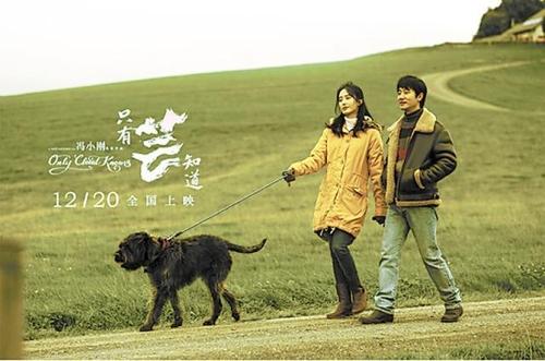 《只有芸知道》讲的是一个怎样的故事?