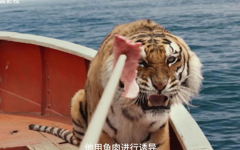 少年派的奇幻漂流的结局是什么?