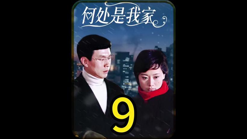 求电视剧《何处是我家》大结局的剧情介绍。