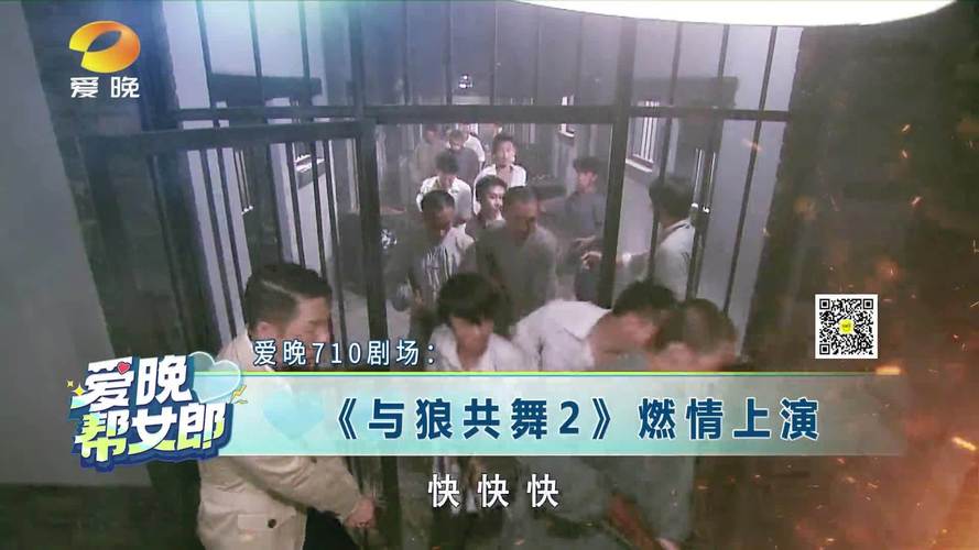 电视剧《与狼共舞2》主要讲述了什么故事?