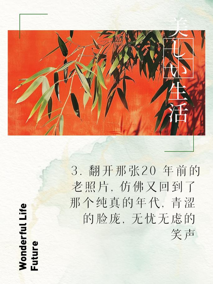回忆杀,那些年的点点滴滴
