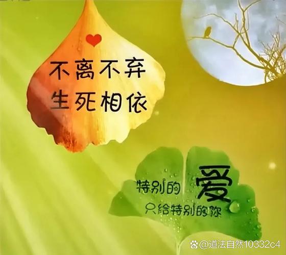 灵魂相遇,生死相依的誓言