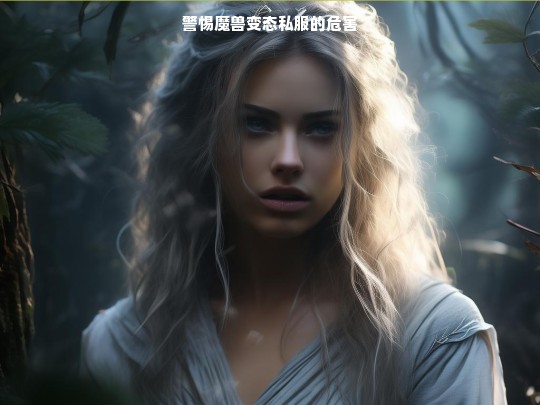 警惕魔兽变态私服的危害