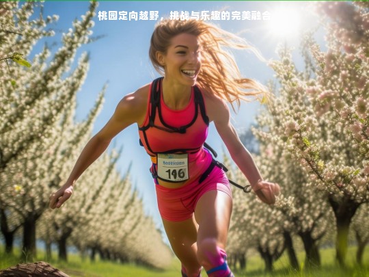 桃园定向越野，挑战与乐趣的完美结合