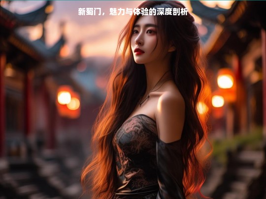 新蜀门，魅力与体验的深度剖析