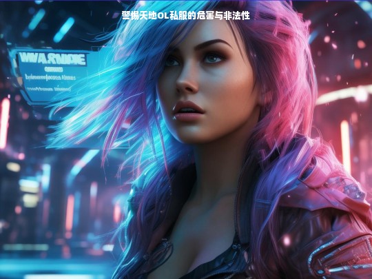 警惕天地OL私服的危害与非法性