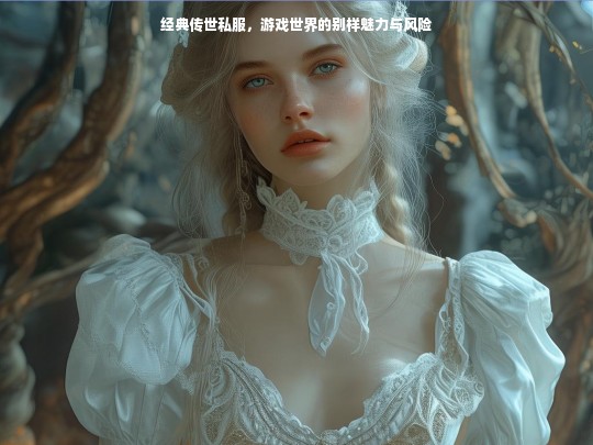 经典传世私服，游戏世界的别样魅力与风险