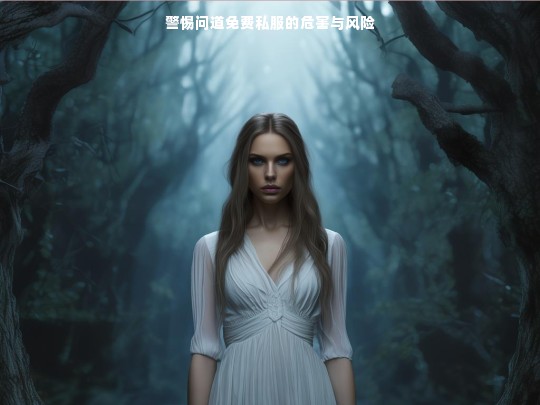 警惕问道免费私服的危害与风险
