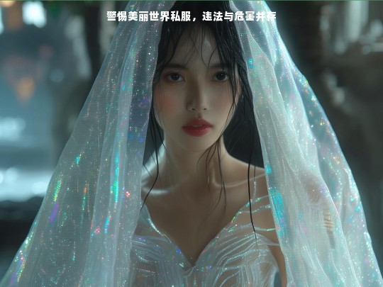 警惕美丽世界私服，违法与危害并存