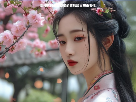 桃园悬赏查询，背后故事与重要性揭秘