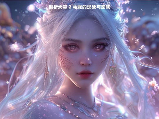 剖析天堂 2 私服的现象与影响