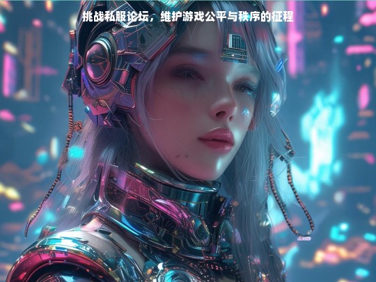 挑战私服论坛，维护游戏公平与秩序的征程