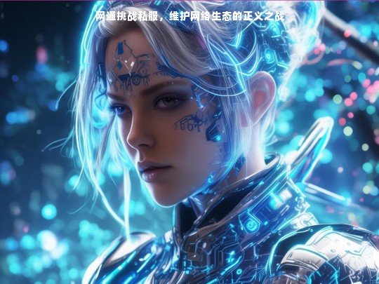 网通挑战私服，维护网络生态的正义之战