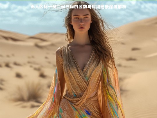 无人区码一码二码三码的区别与应用场景深度解析