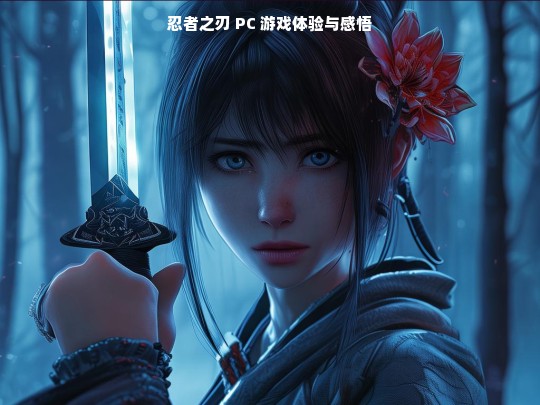 忍者之刃 PC 游戏，体验与感悟分享