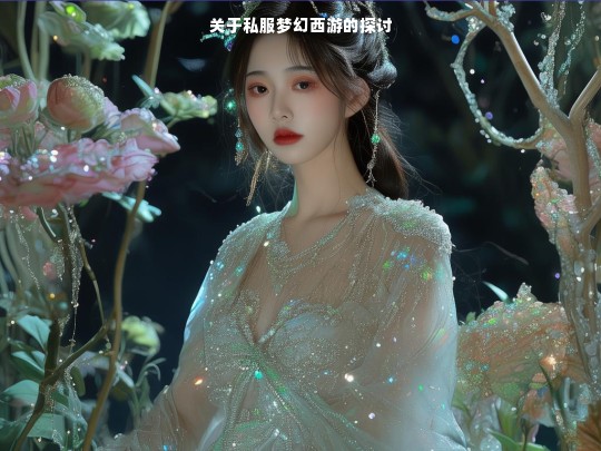 关于私服梦幻西游的探讨