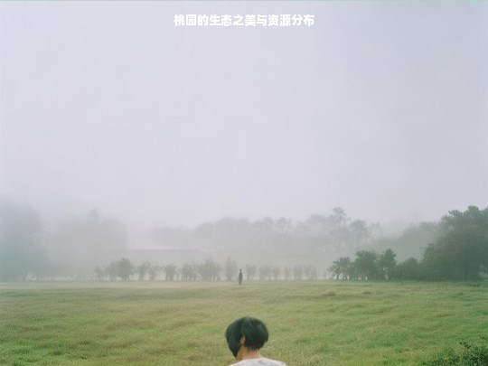 桃园的生态之美与资源分布