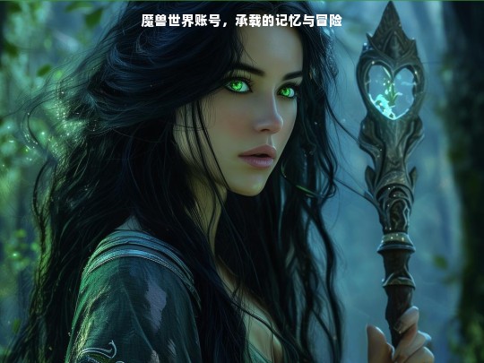 魔兽世界账号，承载的记忆与冒险