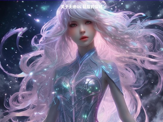 关于天地OL 私服的探讨