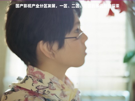 国产影视产业分区发展，一区、二区、三区的多元路径探索
