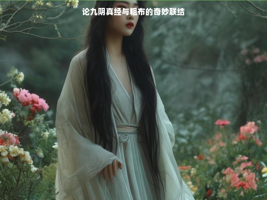 论九阴真经与粗布的奇妙联结